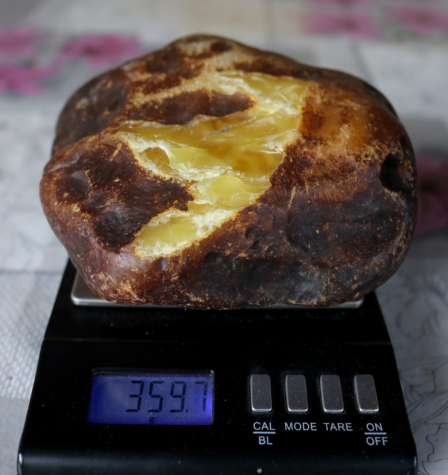 Full-size detail view of natural large amber chunk, 359 gram, no visible internal cracks, Rovno Amber, premium Tasbih amber material