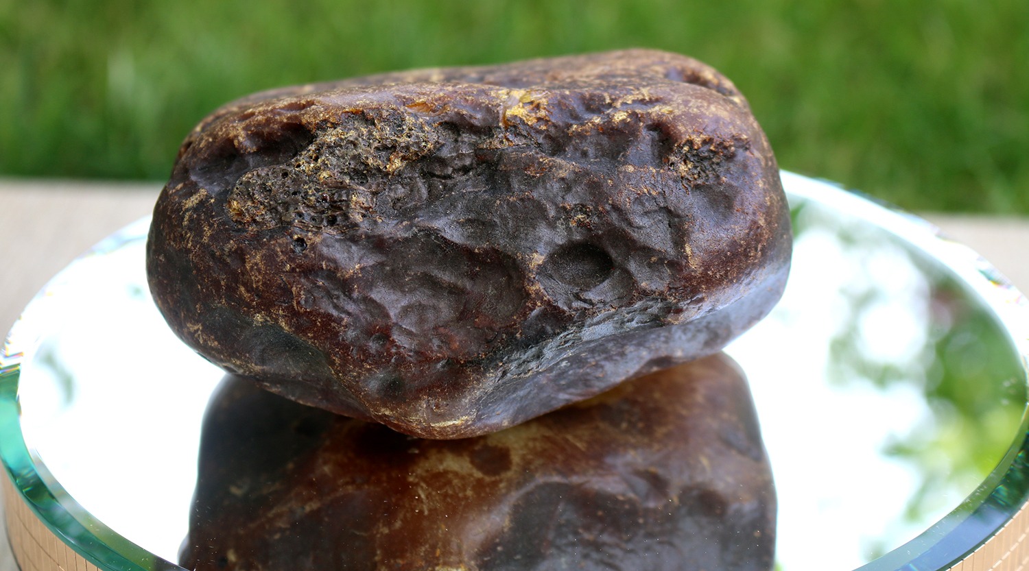 Full-size detail view of carving grade raw amber, Rovno Amber origin, uniform opaque texture, premium material for amber beads