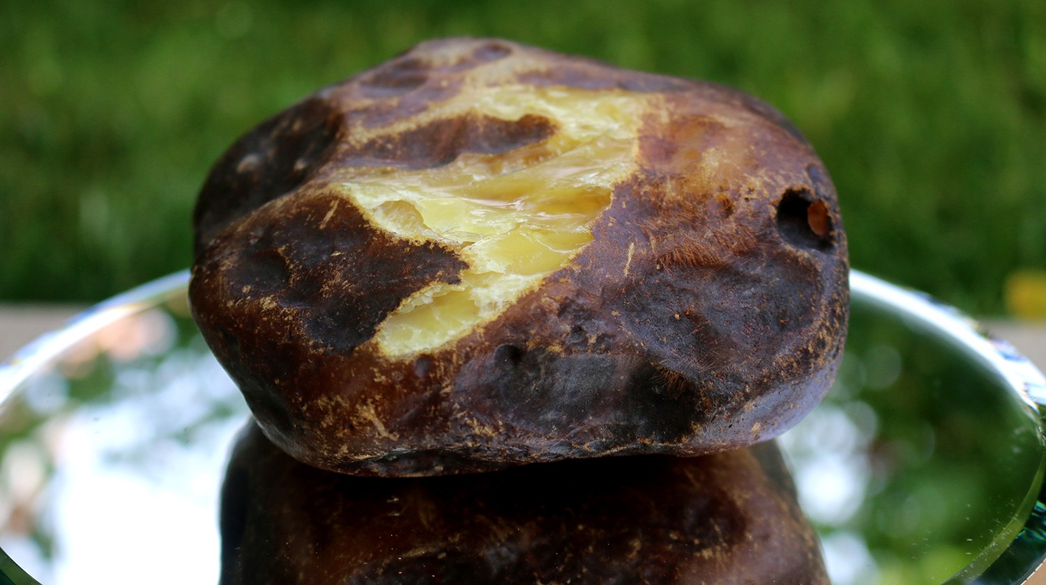 Full-size detail view of large natural amber piece, Rovno Amber origin, even color distribution, carving grade amber for Misbaha production
