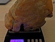 Thumbnail preview of natural large amber piece, butterscotch Rovno Amber, easy to polish for premium Misbaha production