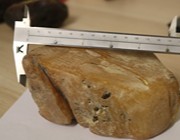 Thumbnail preview of carving grade amber block, 538 gram, Ukrainian amber with uniform opaque texture for Tasbih beads