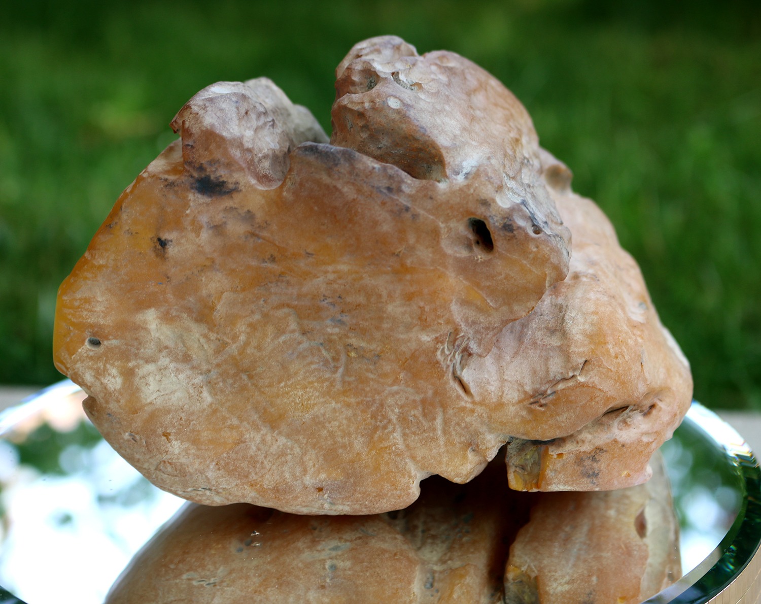 Full-size detail view of selected 538 gram rough amber, untreated opaque amber, good for drilling and professional bead making
