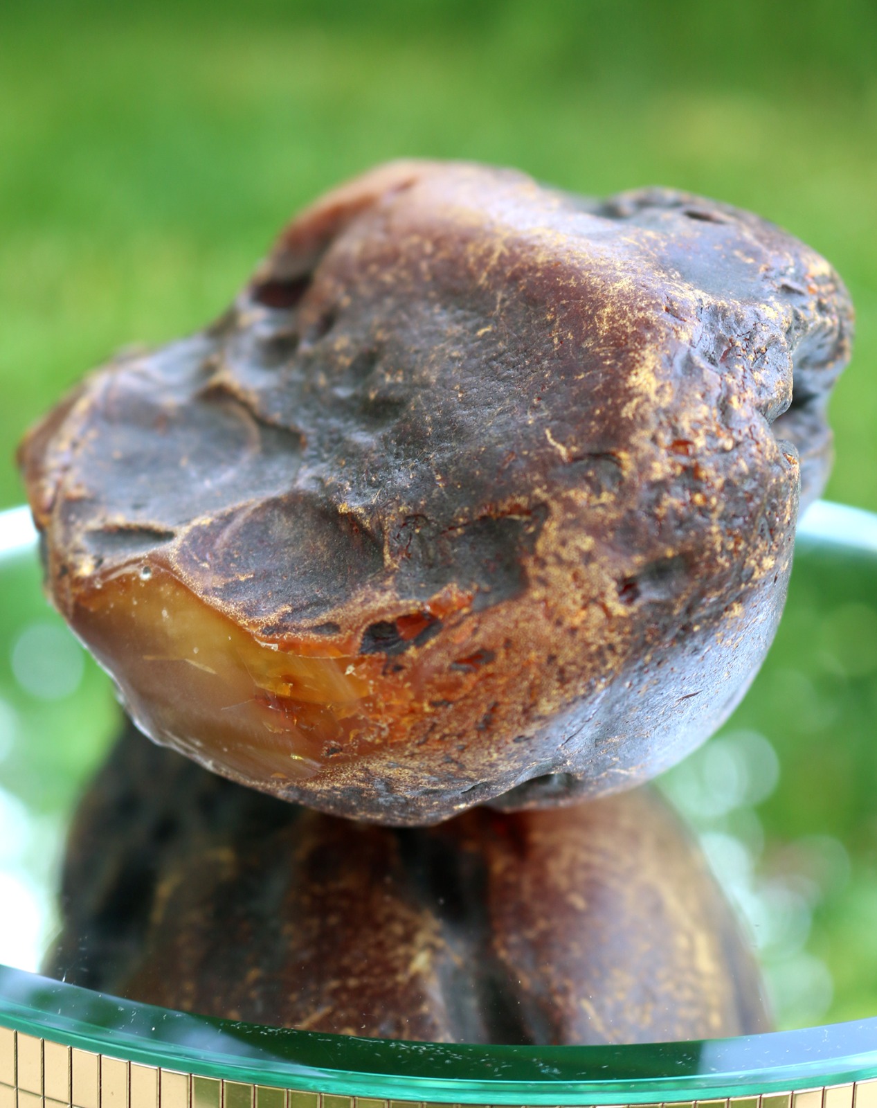 Full-size detail view of premium raw amber chunk, Baltic-type Ukrainian amber, no visible internal cracks, suitable for Tasbih carving