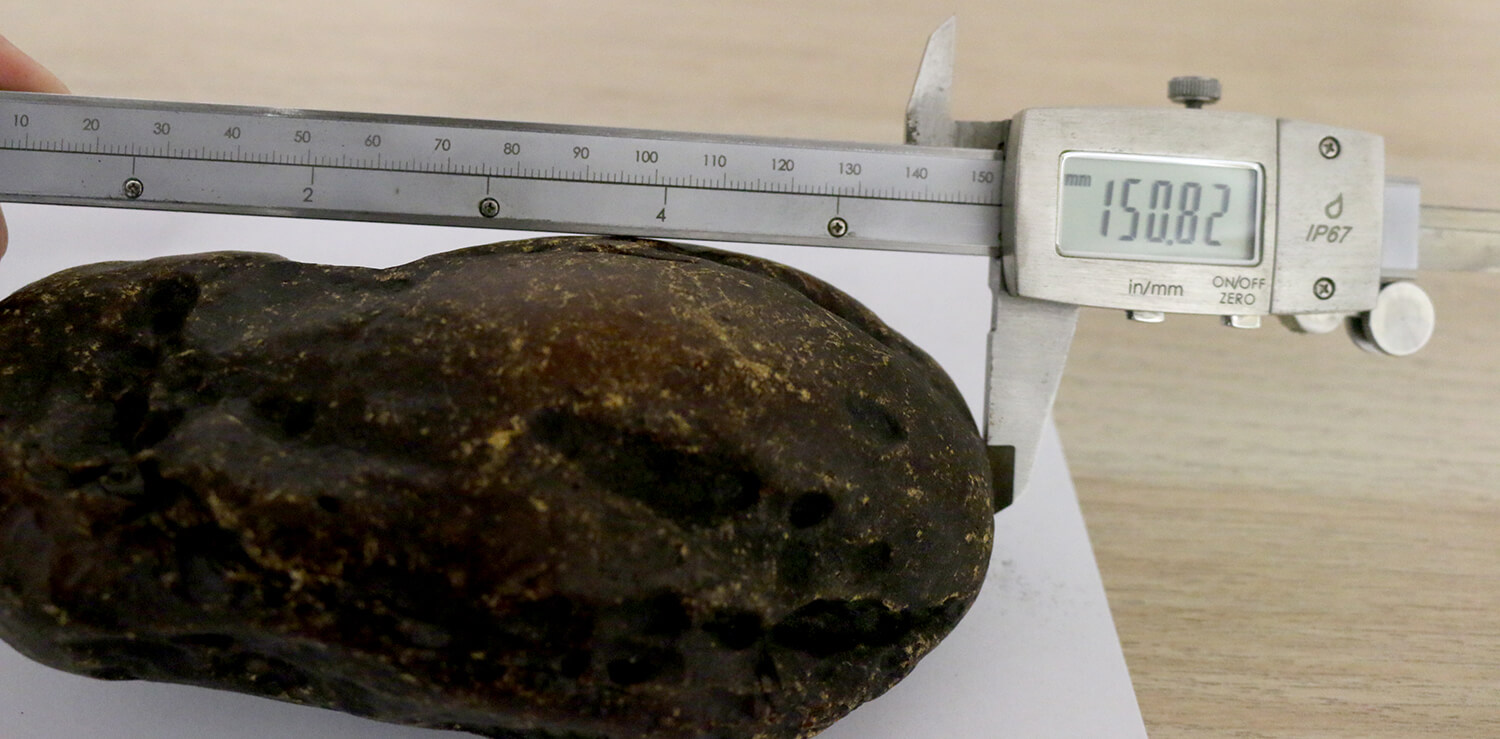 Full-size detail view of selected rough amber piece, Rovno Amber origin, opaque cherry-honey amber for premium Misbaha manufacturing