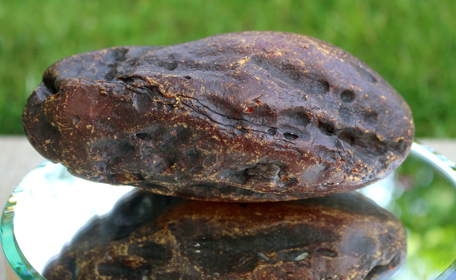 Full-size detail view of rough amber block, Ukrainian Rovno Amber, honey opaque texture, selected for professional prayer bead production