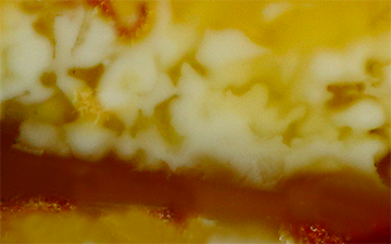 Half-half honey opaque raw amber with white clouding above a dark cognac band