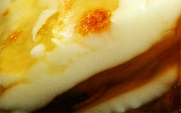 Half-half honey opaque raw amber with milky cream, golden honey and deep brown layers