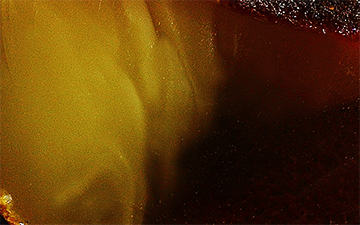 Half-half raw amber with a sharp transition between luminous honey yellow and dark cognac