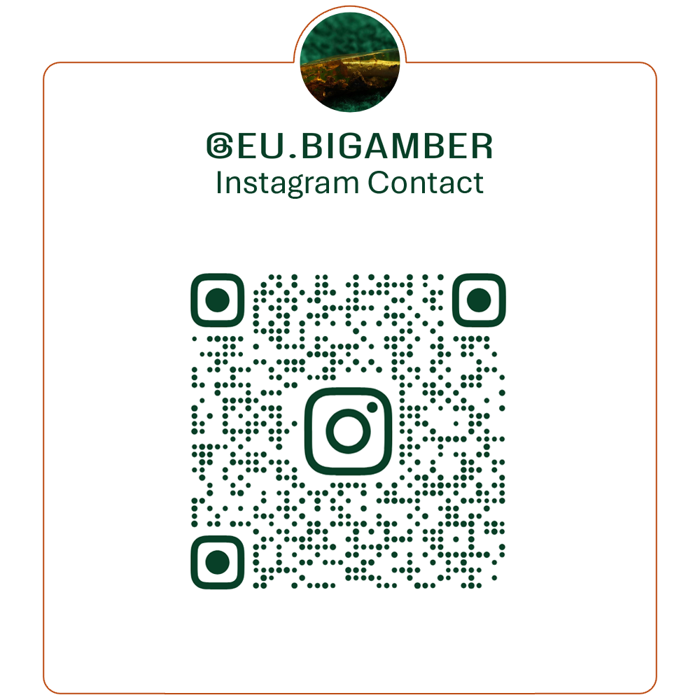 Instagram QR code for eu.bigamber raw amber B2B contact