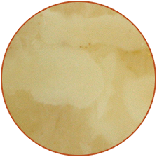 White bone natural amber variety for exclusive allocation