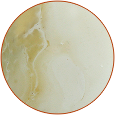 Royal bone natural amber variety for exclusive allocation