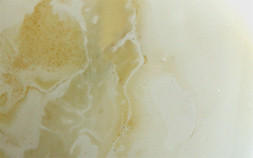 Royal white bone raw amber with translucent honey patches and flowing milky-white structure