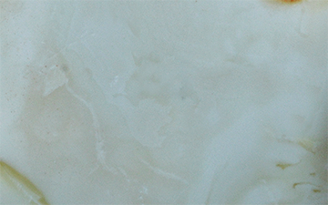 Royal white bone raw amber with cool white opacity, soft internal swirls and faint yellow edges
