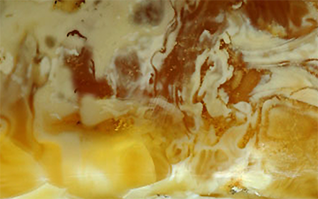 Multicolored tiger amber with white, cognac and golden marbling around translucent honey zones